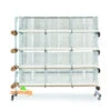 Batterie D'élevage 12 Cages - 60x31x35cm -VogelZorg – Voeding en Verzorging voor Vogels batterie d elevage 12 cages 60x31x35cm