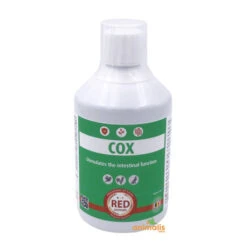 Cox 500 Ml - Intestins Sains