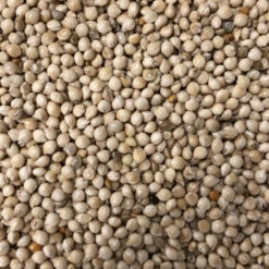 VogelZorg – Voeding en Verzorging voor Vogels -VogelZorg – Voeding en Verzorging voor Vogels graines germees pour exotique et perruche 3kg 1