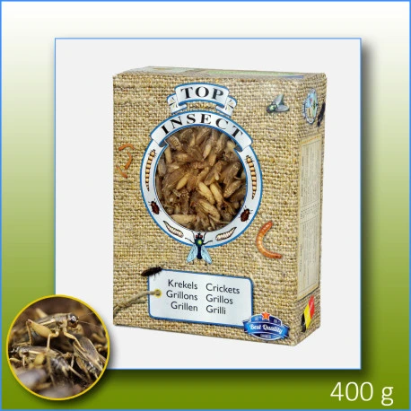 Grillons Congelés 400g - Top Insect 3 Grillons Congelés 400g - Top Insect