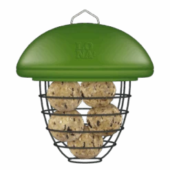 Mangeoire Lona M5 - Vert