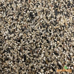 Mélange De Graines Pour Tarins Américains Et Européens 15kg - Hoebre -VogelZorg – Voeding en Verzorging voor Vogels melange de graines pour tarins americains et europeens 15kg 2