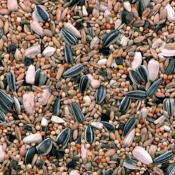 Grandes Perruches Duvo 20 Kg -VogelZorg – Voeding en Verzorging voor Vogels melange pour grandes perruches 20 kg duvo 3