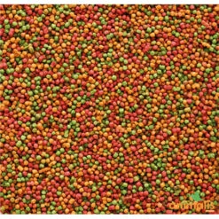 VERSELE-LAGA Nutribird B14 3kg -VogelZorg – Voeding en Verzorging voor Vogels nutribird b14 800gr 1