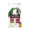 VERSELE-LAGA Nutribird P15 Original 3kg - Granulés Extrudés - Aliment D'entretien Pour Perroquets 1 VERSELE-LAGA Nutribird P15 Original 3kg - Granulés Extrudés - Aliment D'entretien Pour Perroquets -VogelZorg – Voeding en Verzorging voor Vogels nutribird p15 original 3kg granules extrudes aliment d entretien pour perroquets